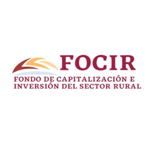 FOCIR